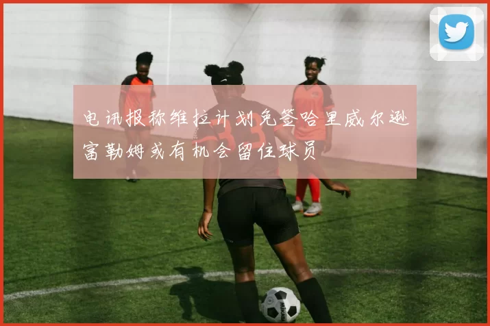 电讯报称维拉计划免签哈里威尔逊富勒姆或有机会留住球员